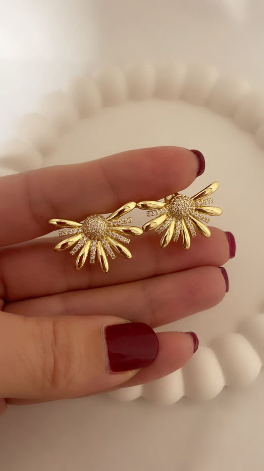 Earrings Gold Color